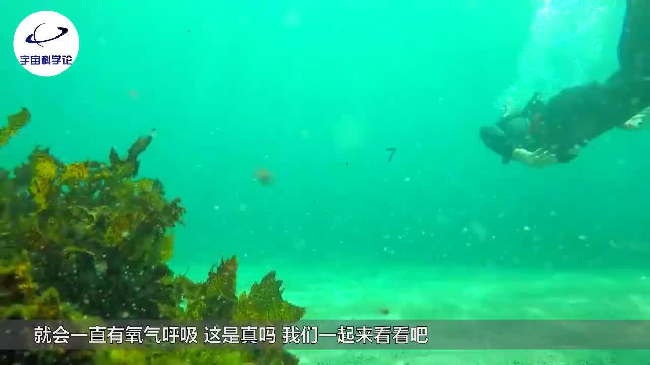 海军蓝